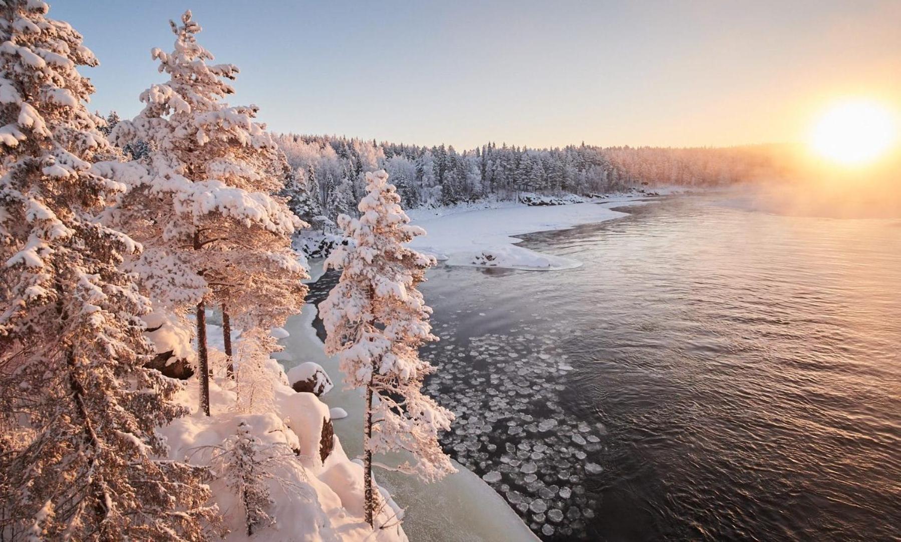 Skog Aurora Igloos Villa Каликс Екстериор снимка