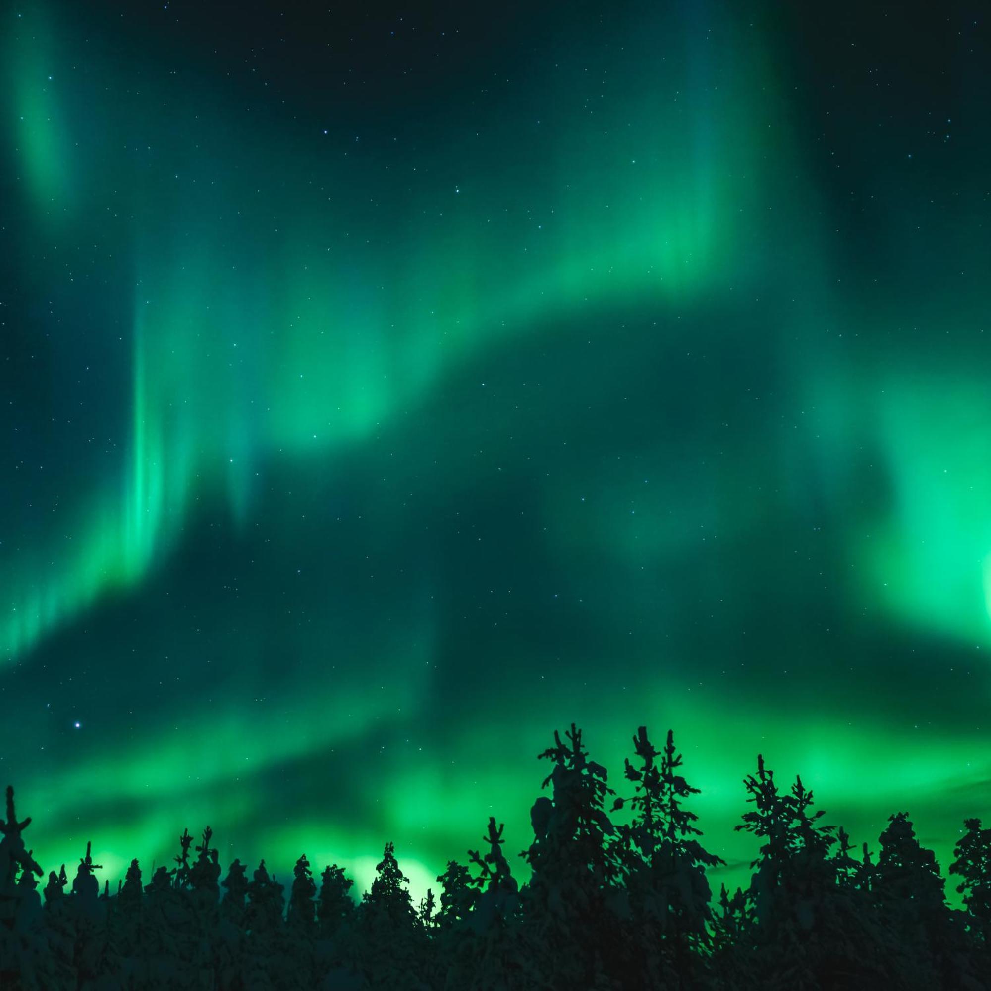 Skog Aurora Igloos Villa Каликс Екстериор снимка