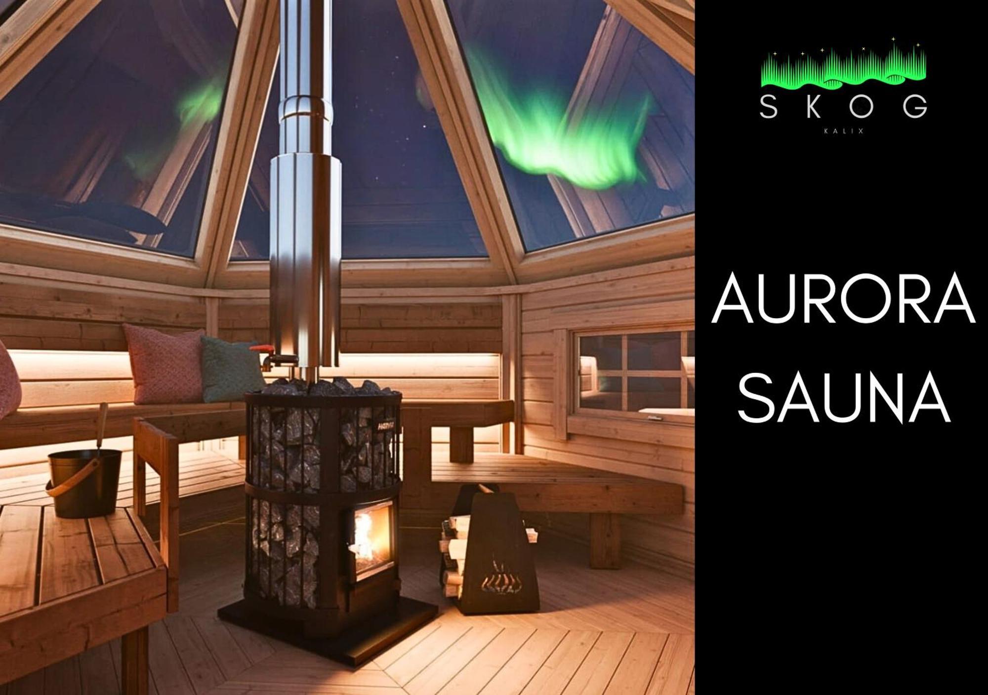 Skog Aurora Igloos Villa Каликс Екстериор снимка