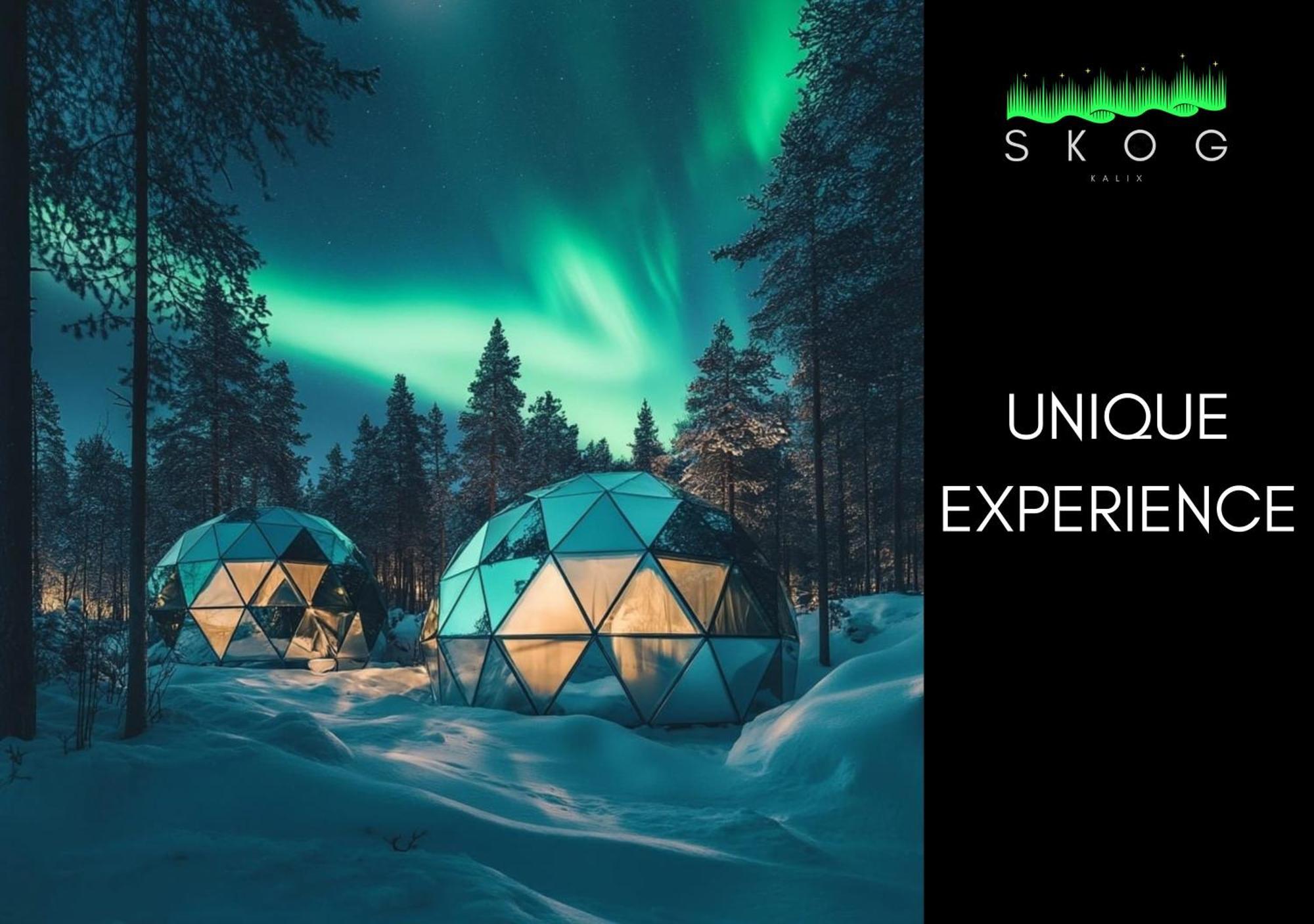 Skog Aurora Igloos Villa Каликс Екстериор снимка