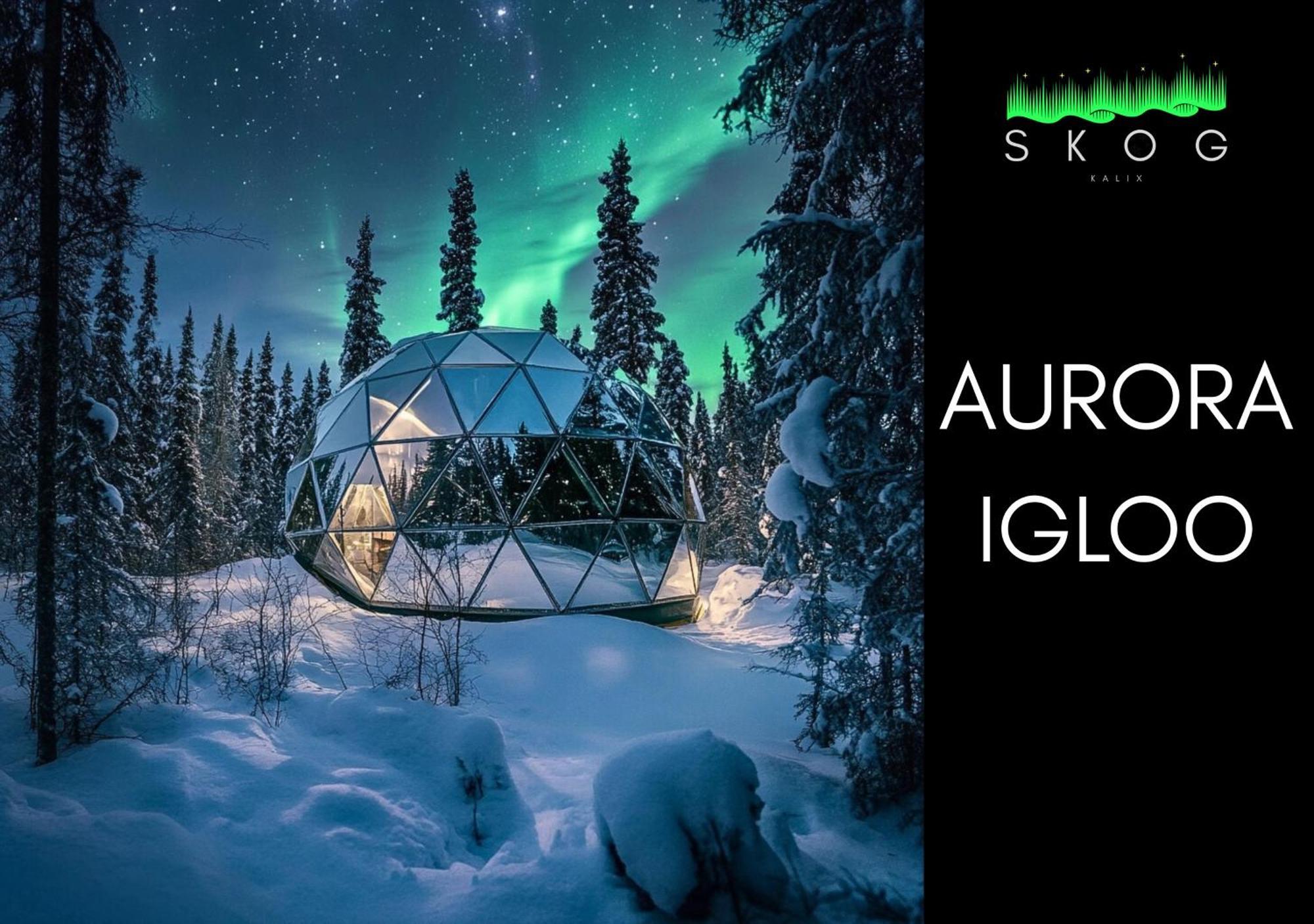 Skog Aurora Igloos Villa Каликс Екстериор снимка