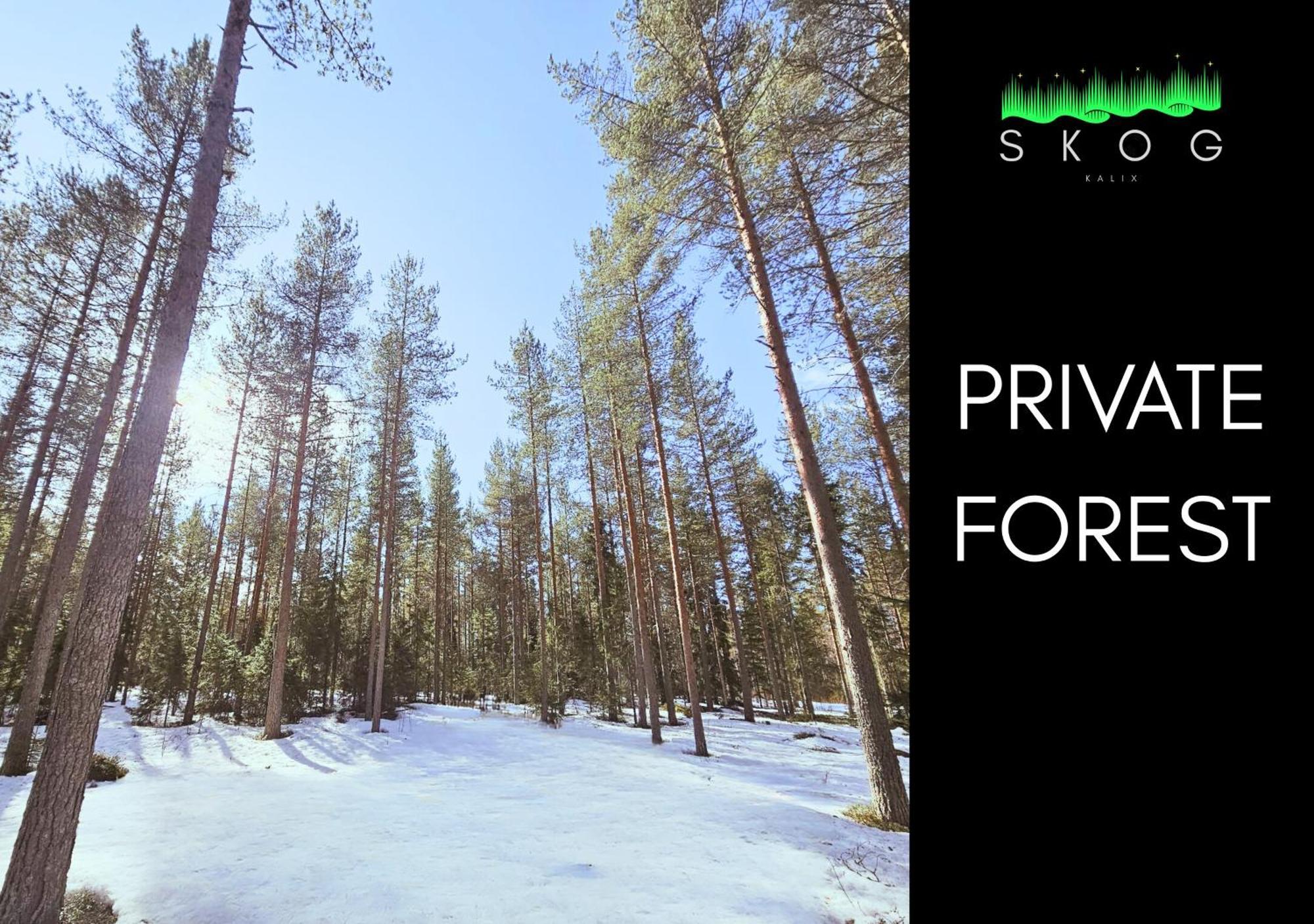 Skog Aurora Igloos Villa Каликс Екстериор снимка