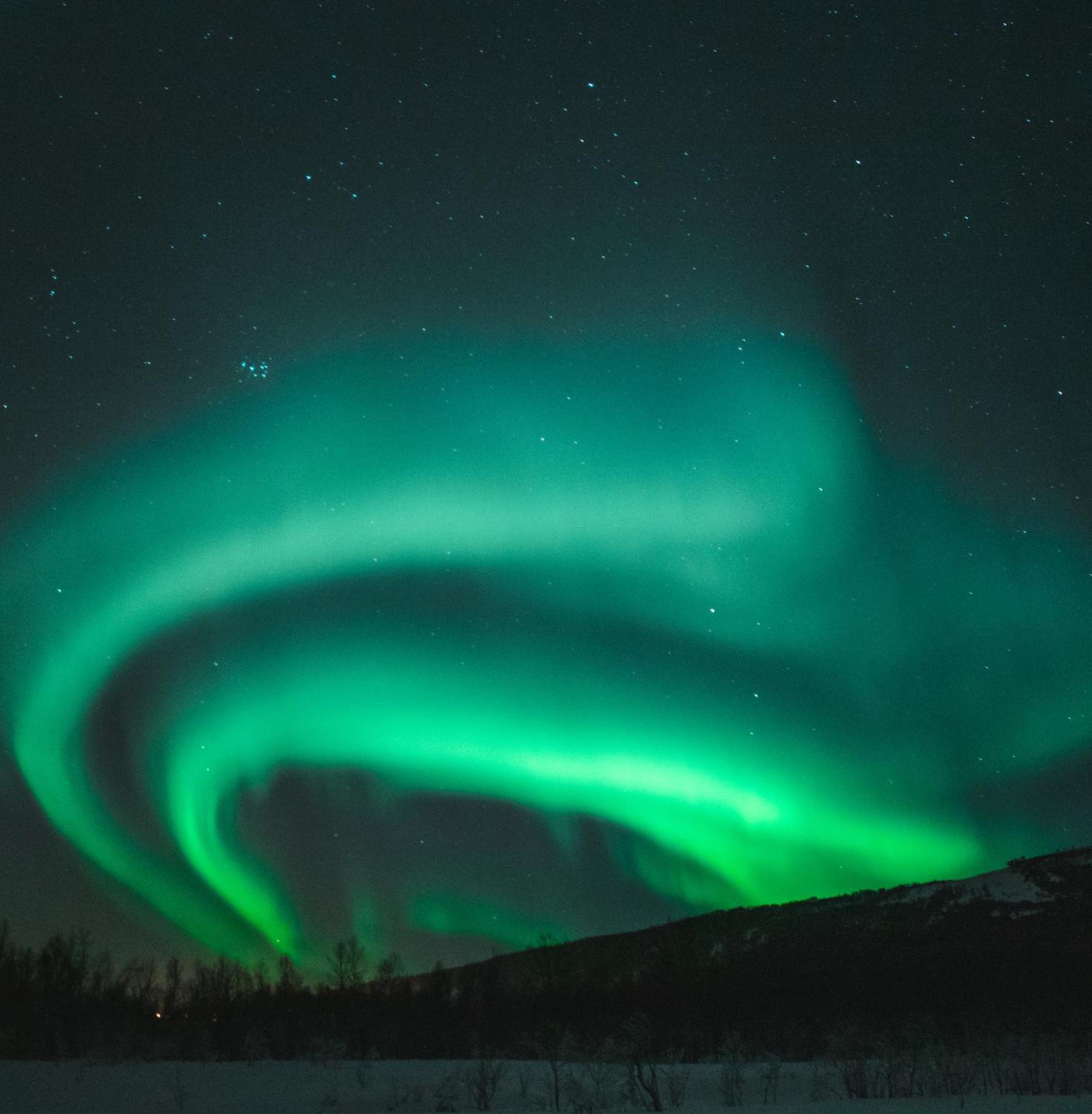 Skog Aurora Igloos Villa Каликс Екстериор снимка
