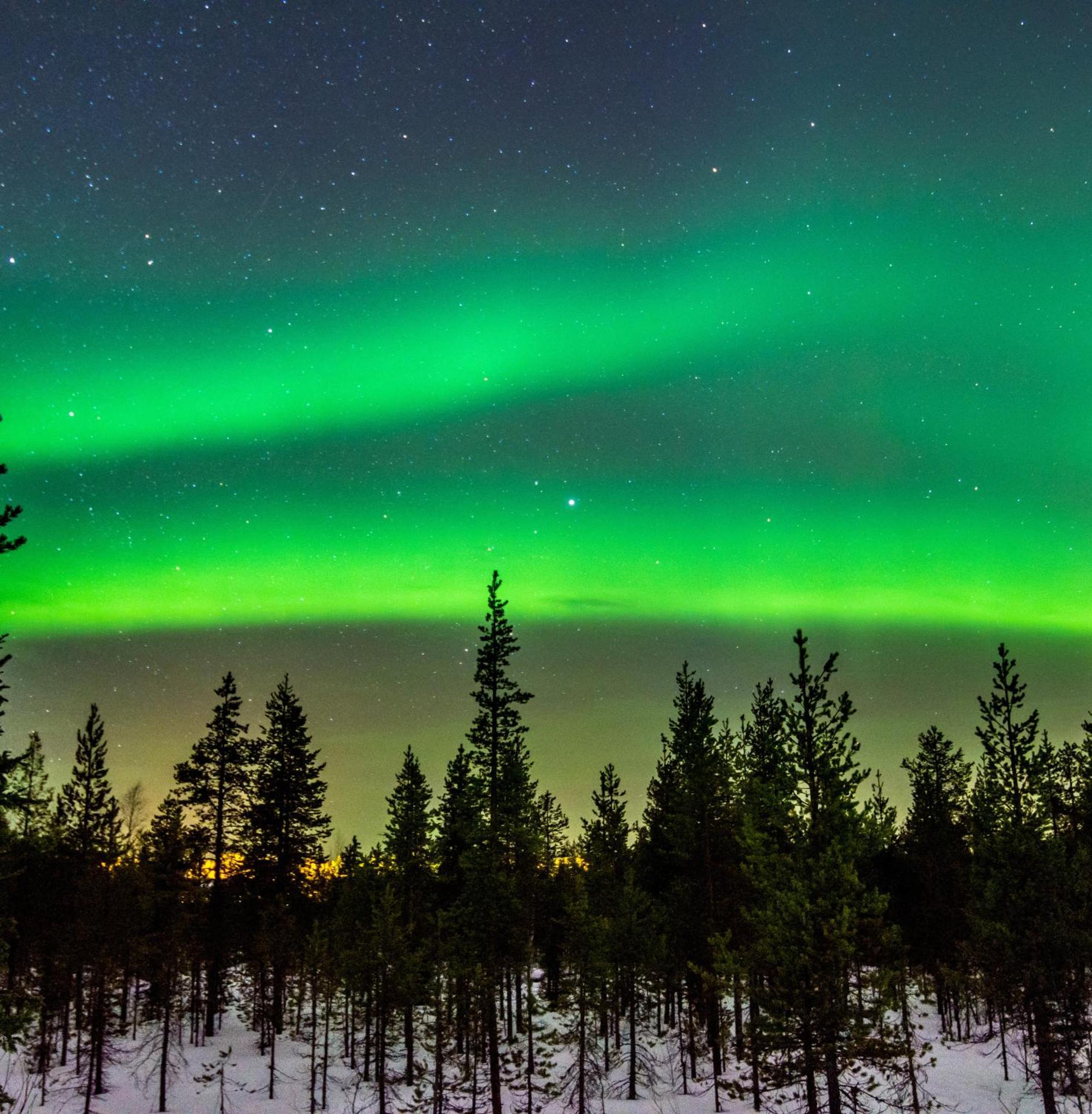 Skog Aurora Igloos Villa Каликс Екстериор снимка