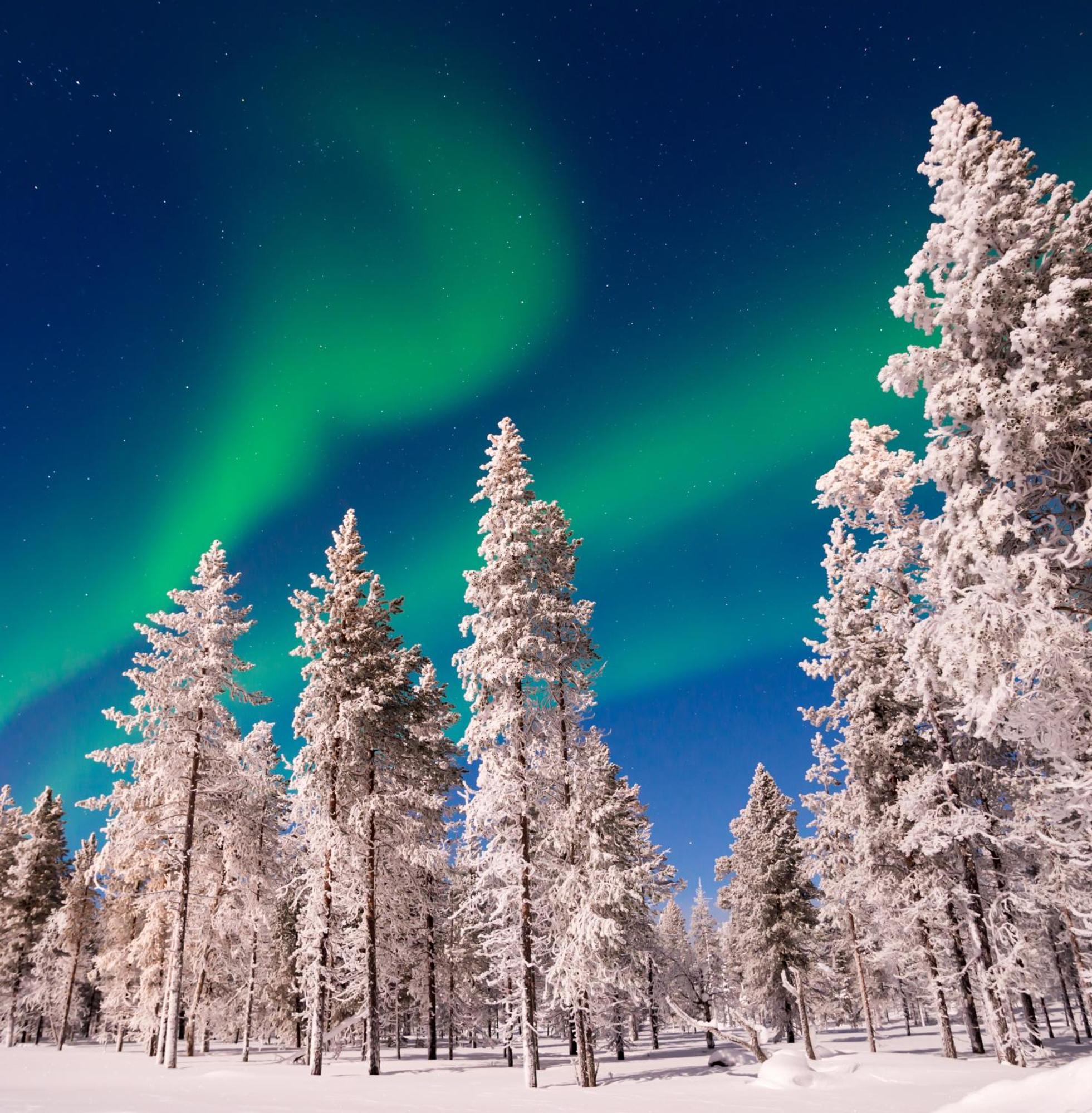 Skog Aurora Igloos Villa Каликс Екстериор снимка