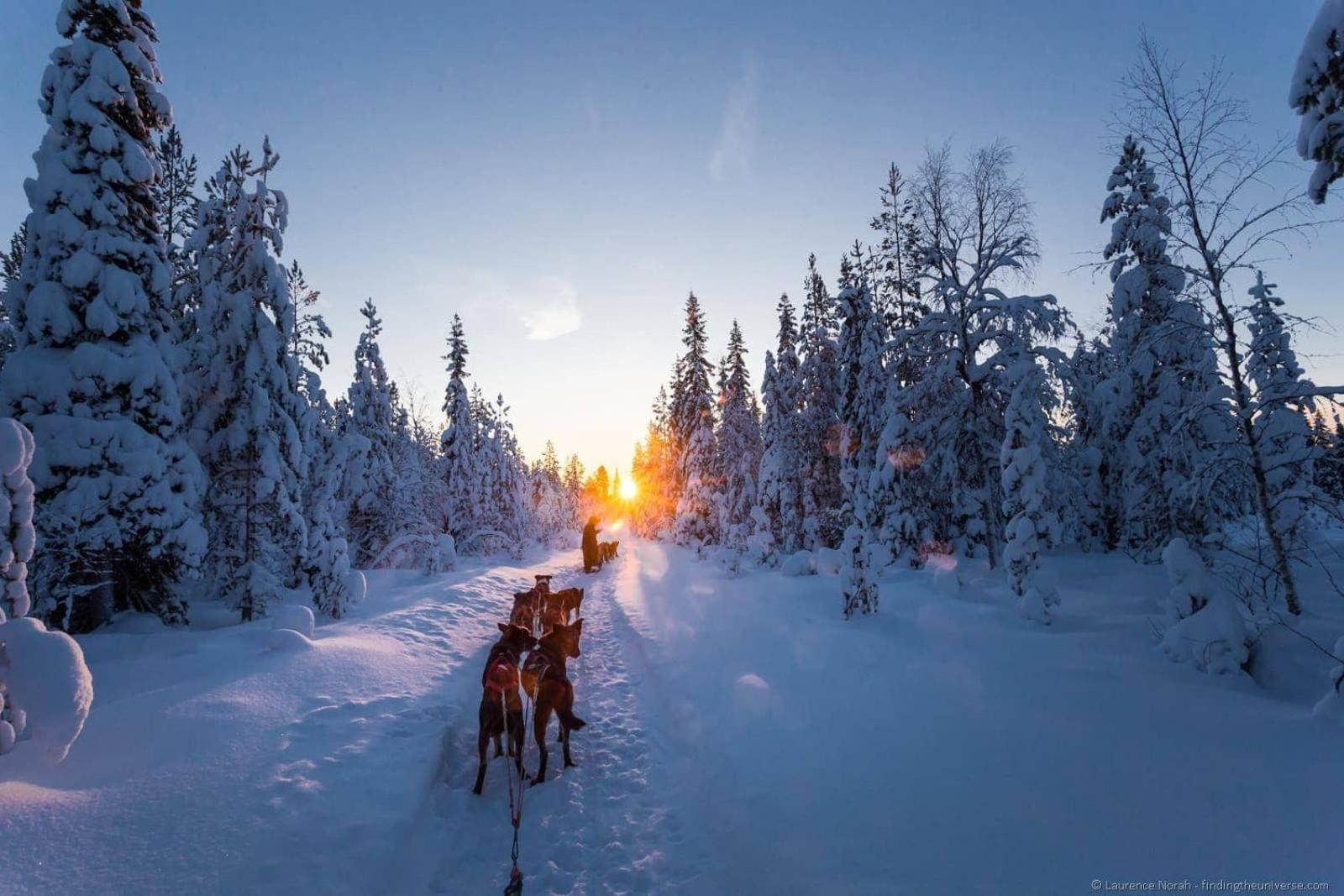 Skog Aurora Igloos Villa Каликс Екстериор снимка