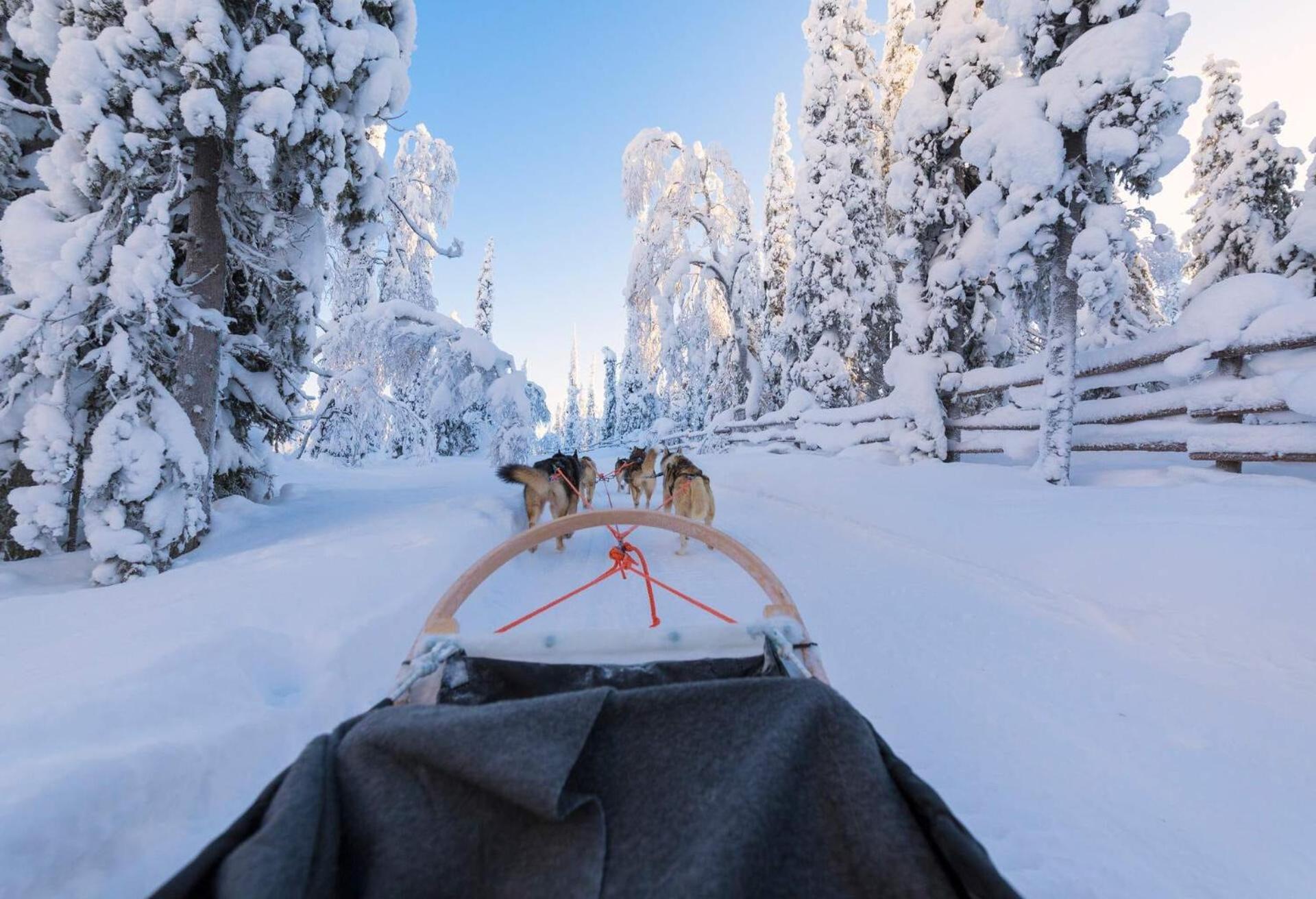 Skog Aurora Igloos Villa Каликс Екстериор снимка