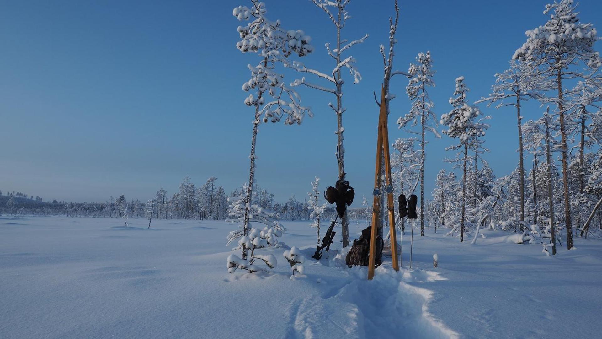 Skog Aurora Igloos Villa Каликс Екстериор снимка